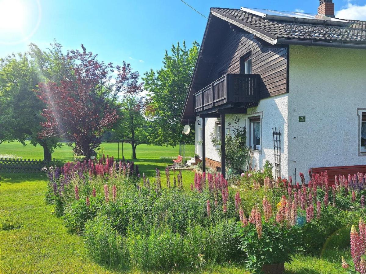 Pension Schneider Frauenau Exteriér fotografie