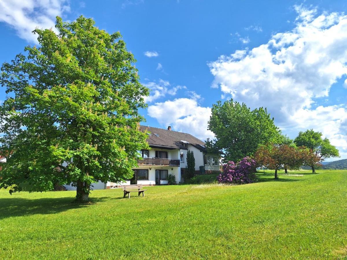 Pension Schneider Frauenau Exteriér fotografie