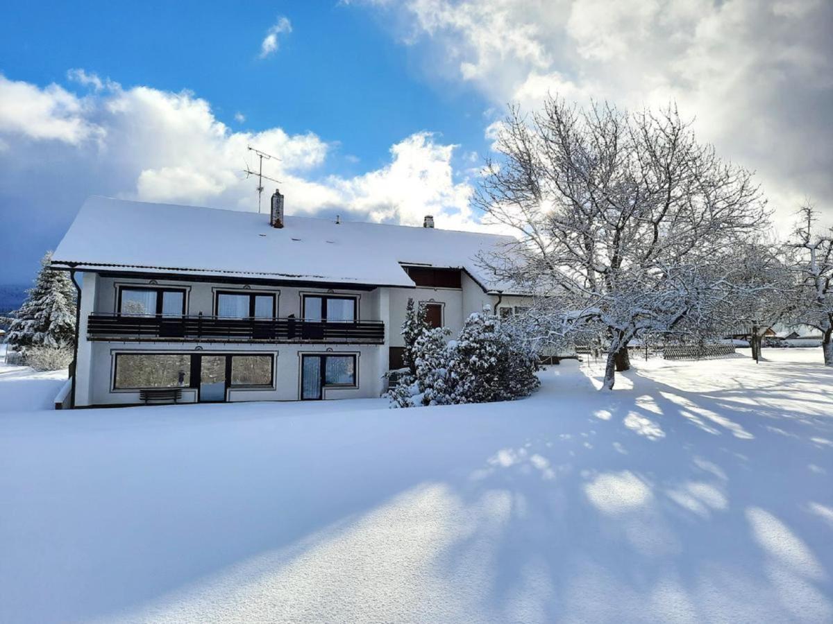 Pension Schneider Frauenau Exteriér fotografie